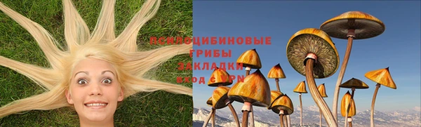бошки Балахна