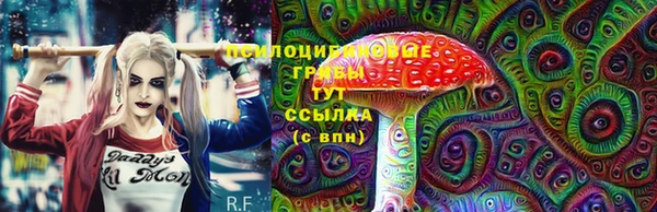 spice Балабаново