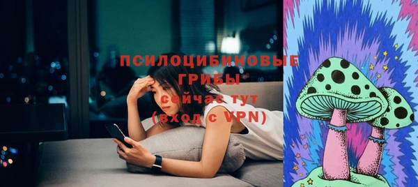 spice Балабаново