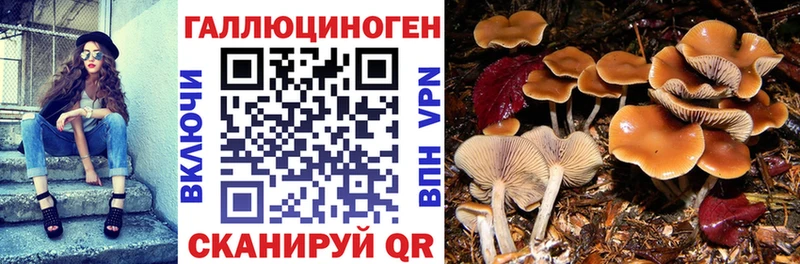 Галлюциногенные грибы GOLDEN TEACHER  цены   Сафоново 